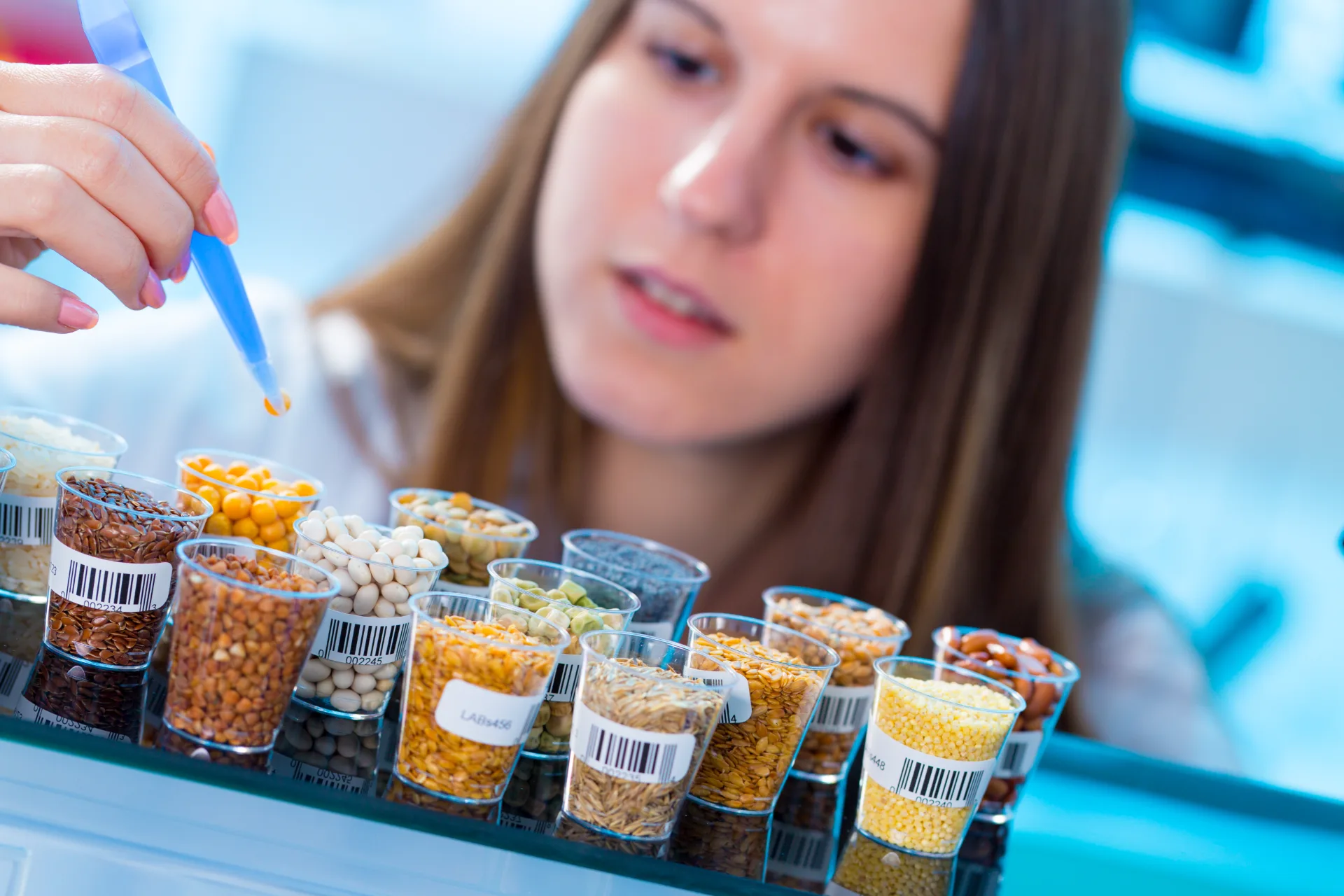 Lebensmittellogistik vom Profi